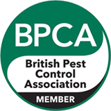 BPCA